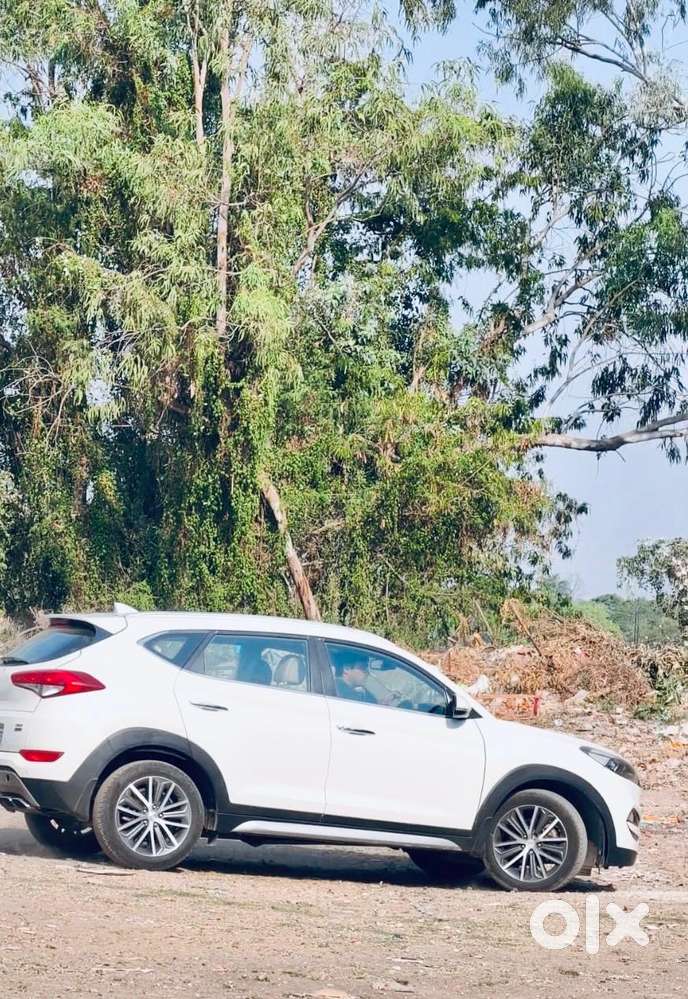 Hyundai Tucson Gls 4wd Automatic, 2018, Diesel