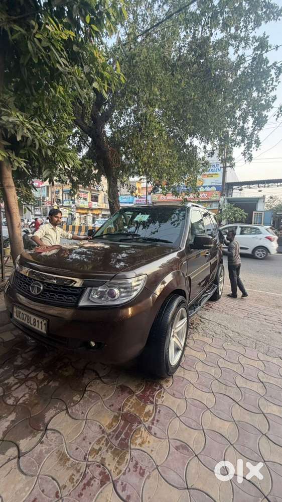 Tata Safari Storme 2015 Diesel Manual Year