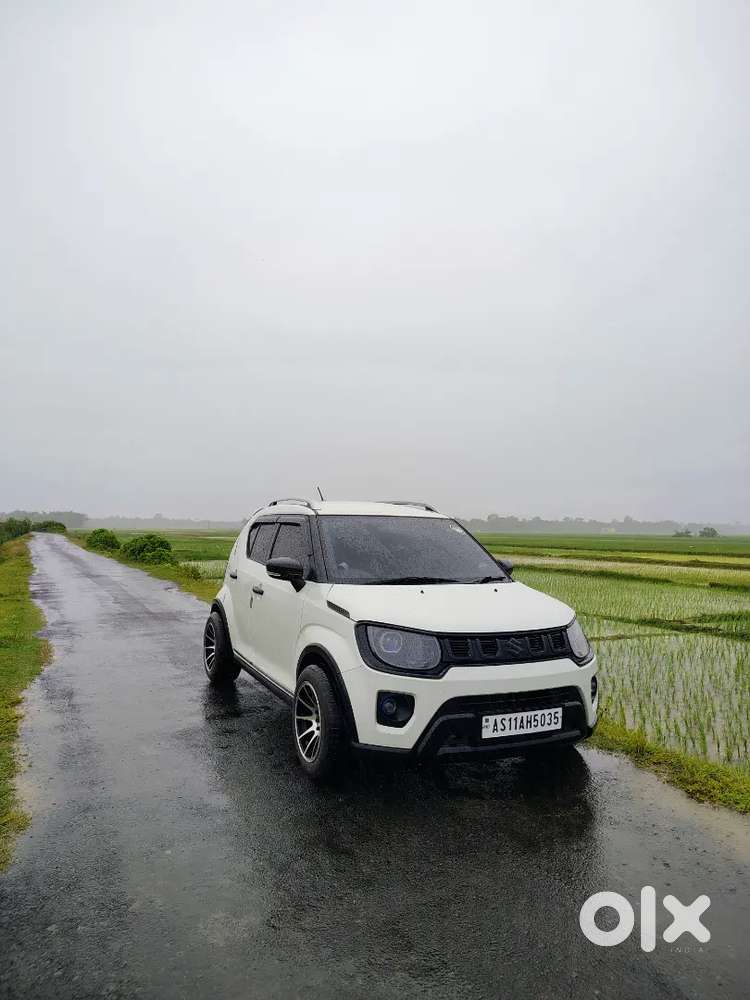 Maruti Suzuki Ignis 2024 October