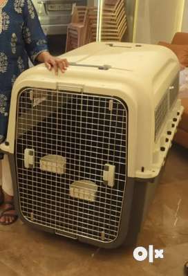 Dog best sale cages olx