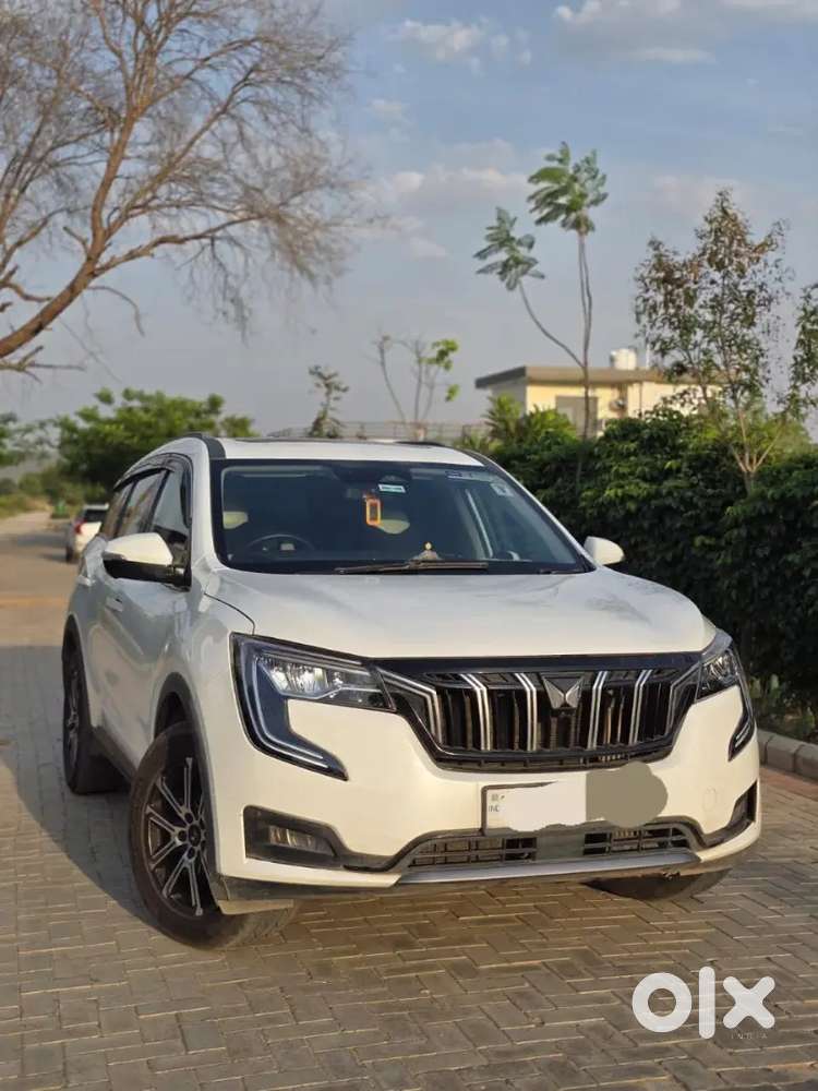 White Beast