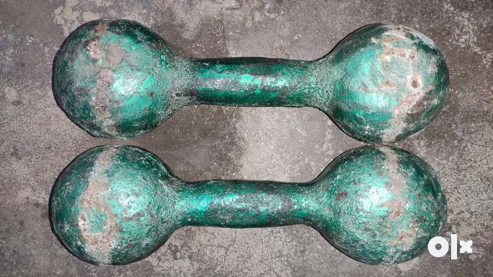 16 16 pounds 2 iron dumbell only RS 1500 Gym Fitness 1760118221