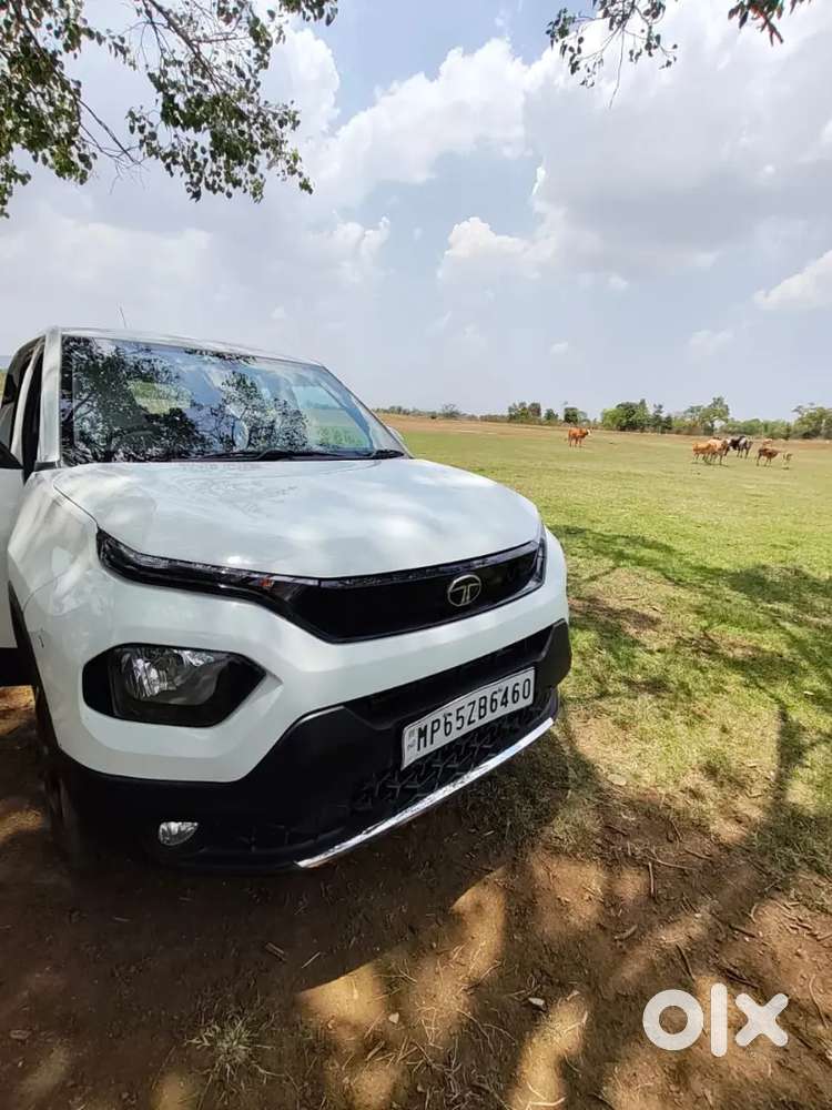 Tata Punch 2024 Petrol 16860 Km Driven