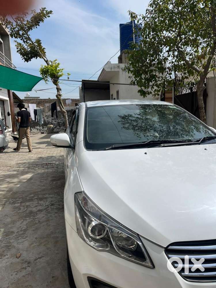 Maruti Suzuki Diesel 2017
