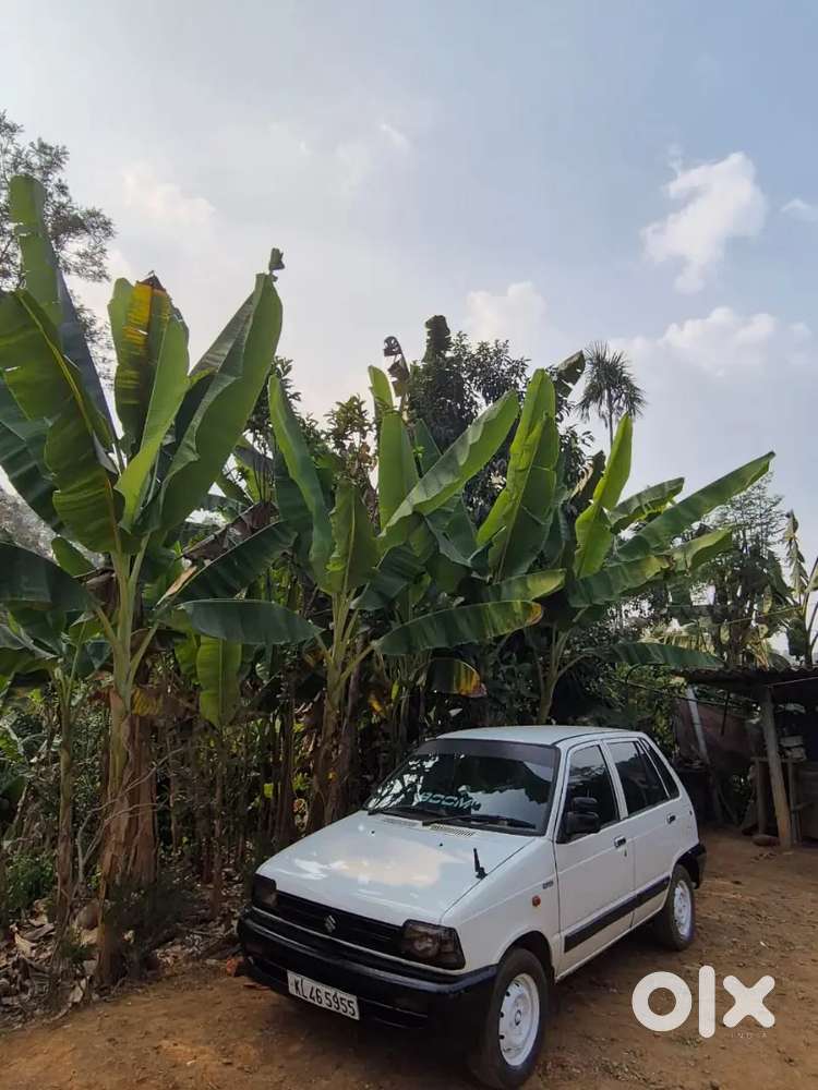 Maruti Suzuki 800 2007 Petrol 100000 Km Driven