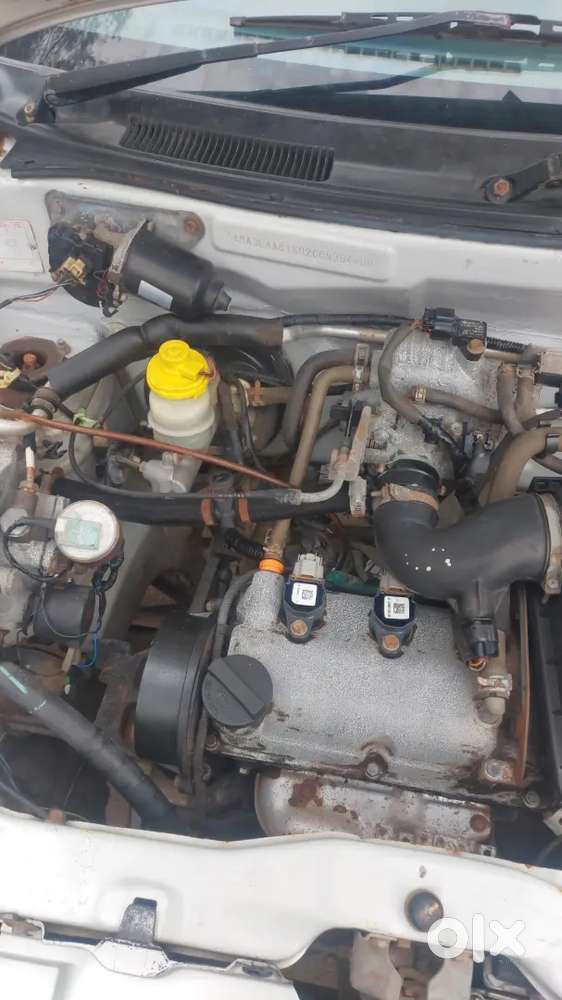 Alto Lxi Cng