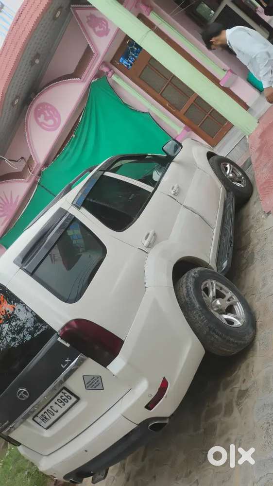 Safari Strome Lx 2013