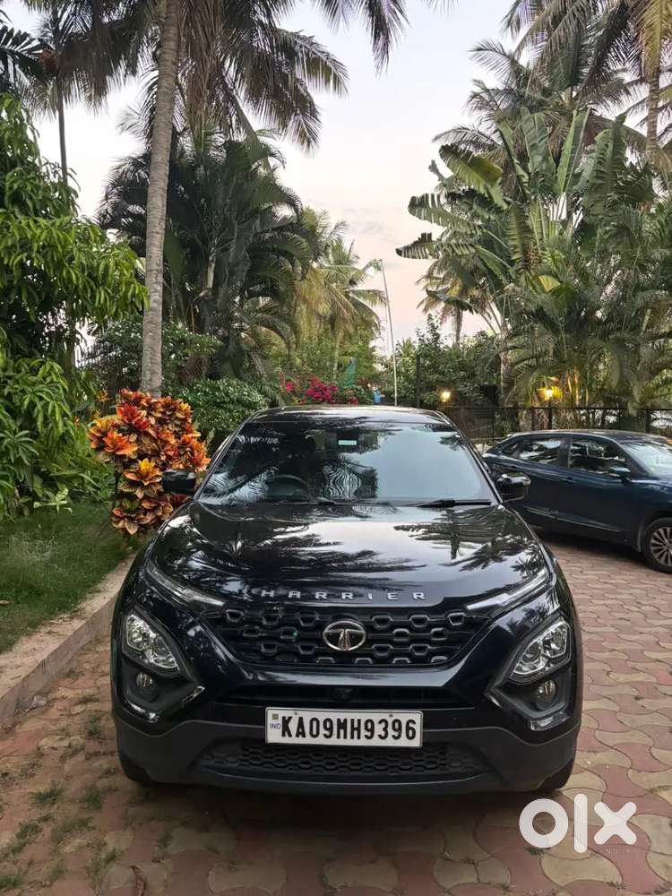 Tata Harrier 2023 Diesel 52000 Km Driven
