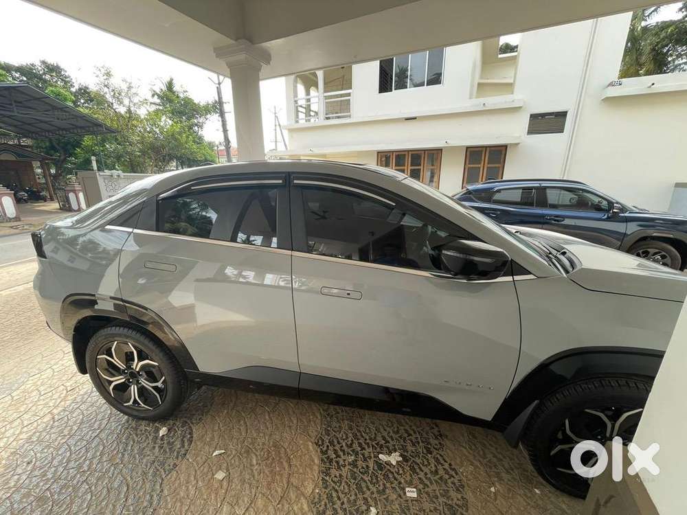 Tata Curvv Petrol 17000 Km Driven