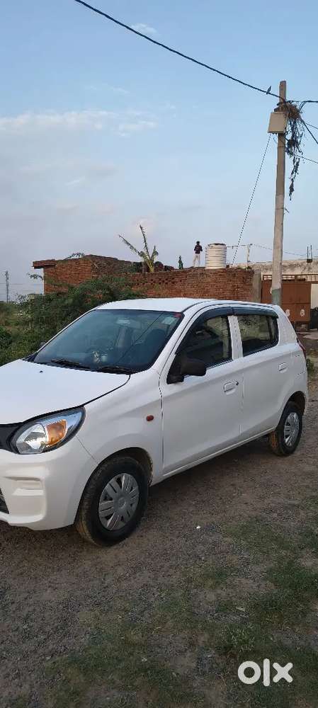 Alto 800lxi 22nov 2019 Model