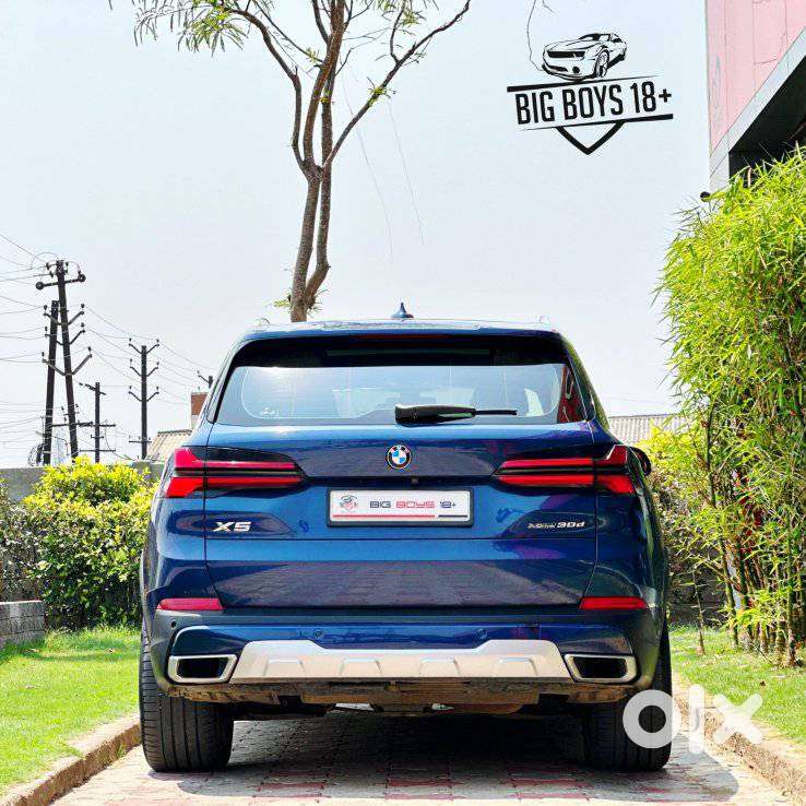 Bmw X5 Xdrive 30 D, 2019, Diesel