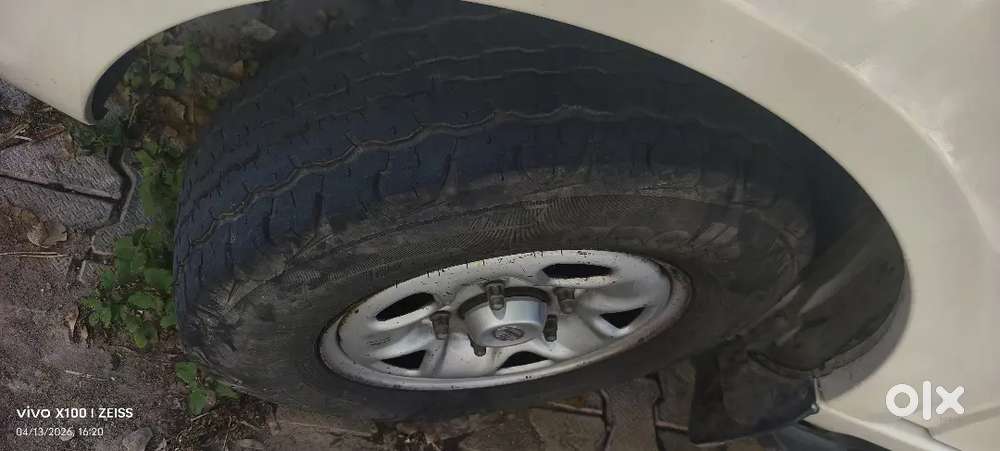 Safari Strome Showroom Condition