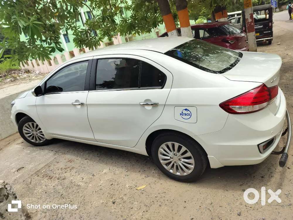 Maruti Suzuki Ciaz 2023 Petrol 1st Owner