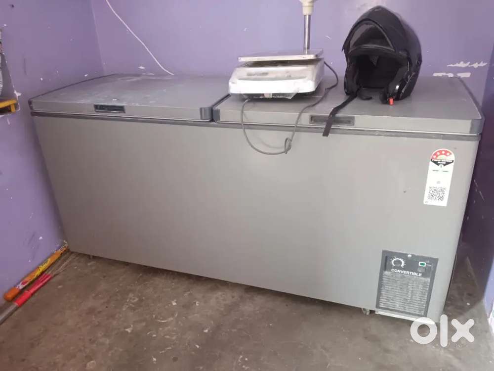 Double door deep freedge 500L