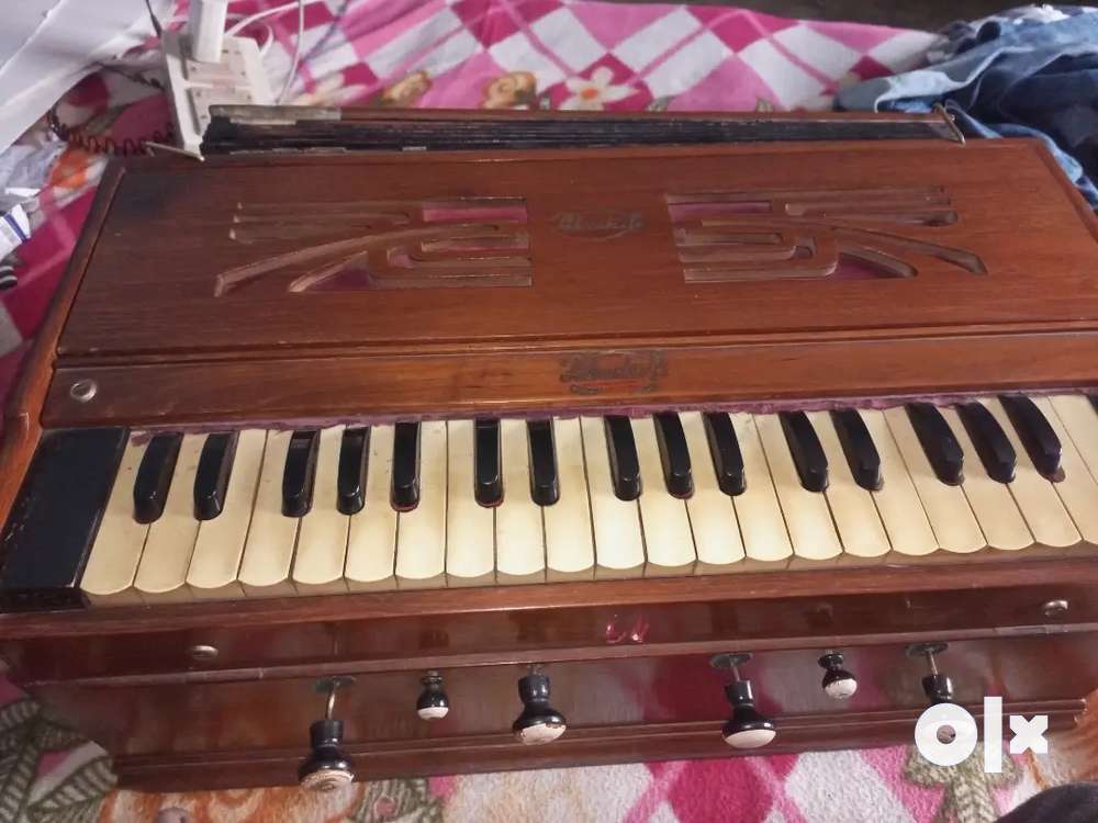 Old harmonium olx sales