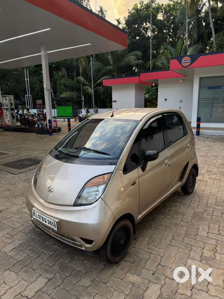 Tata Nano Petrol 2010 Year