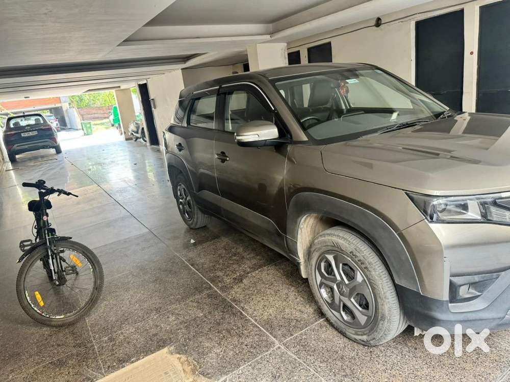 Maruti Suzuki Petrol Manual 2024 Car