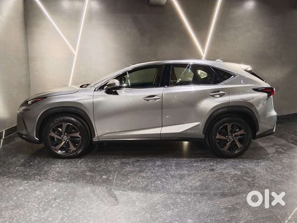Lexus Nx Lexus-nx-300h-luxury, 2020, Petrol
