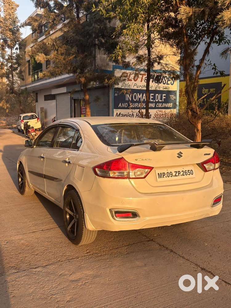 Maruti Suzuki Hybrid 2023 Year