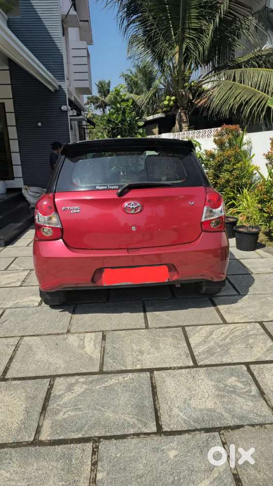 All Company Service& Well Maintained