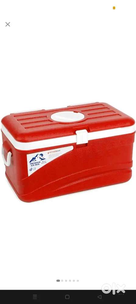 Ice box 50L