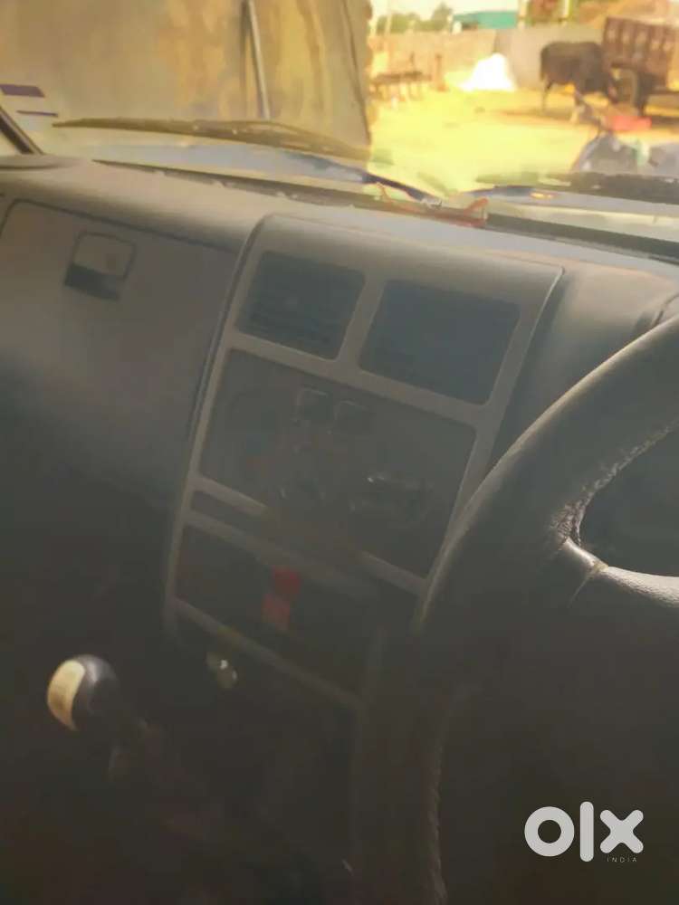 Sumo Gold Good Condition