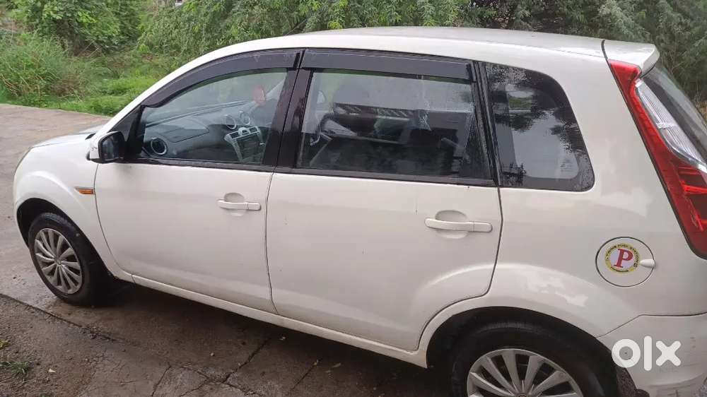 2010 Model