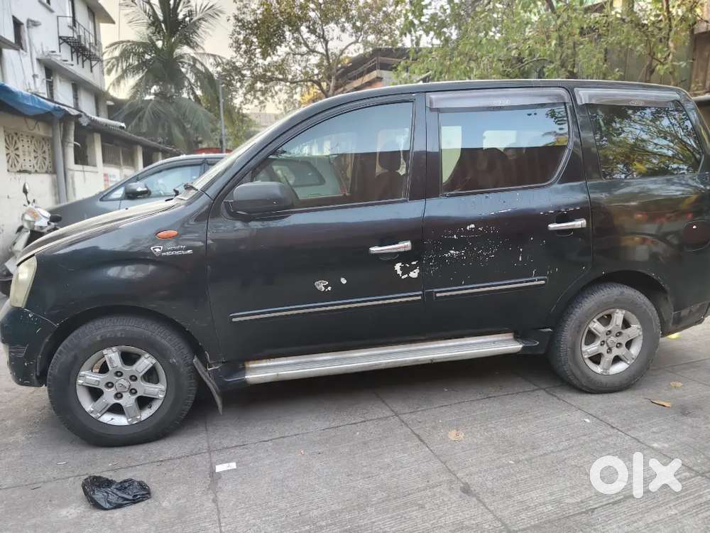 Xylo For Sale