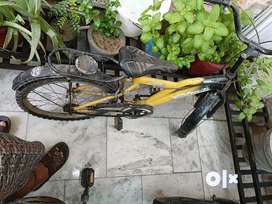 Olx cycle motor online