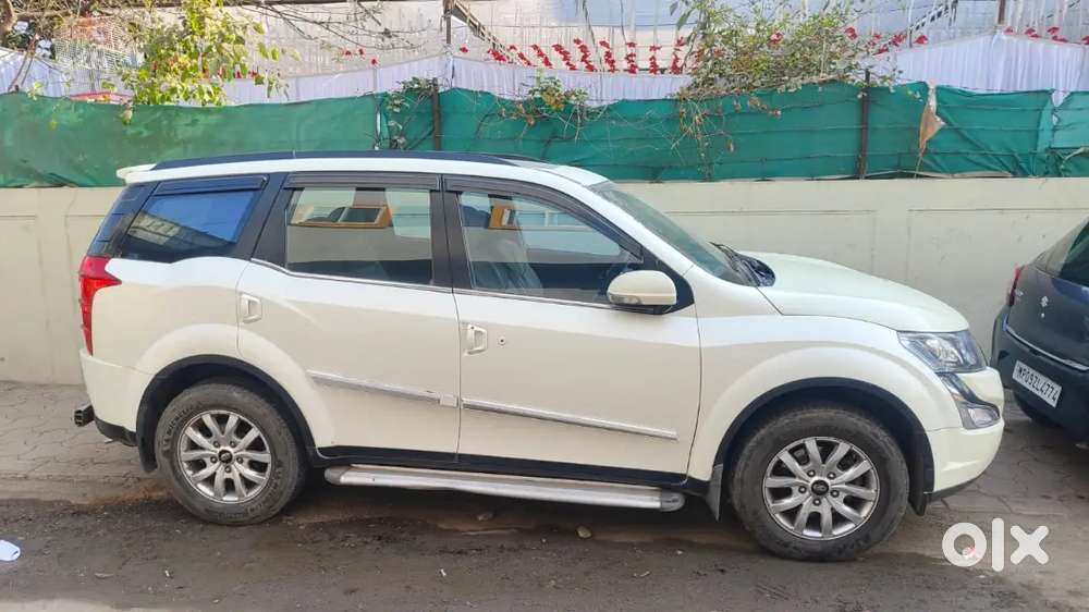 Mute Dial New Insurance Agrees