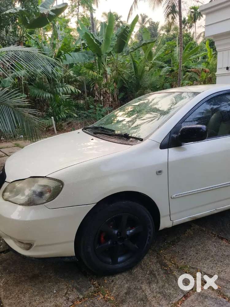 Toyota Corolla 2003 Petrol Well Maintained