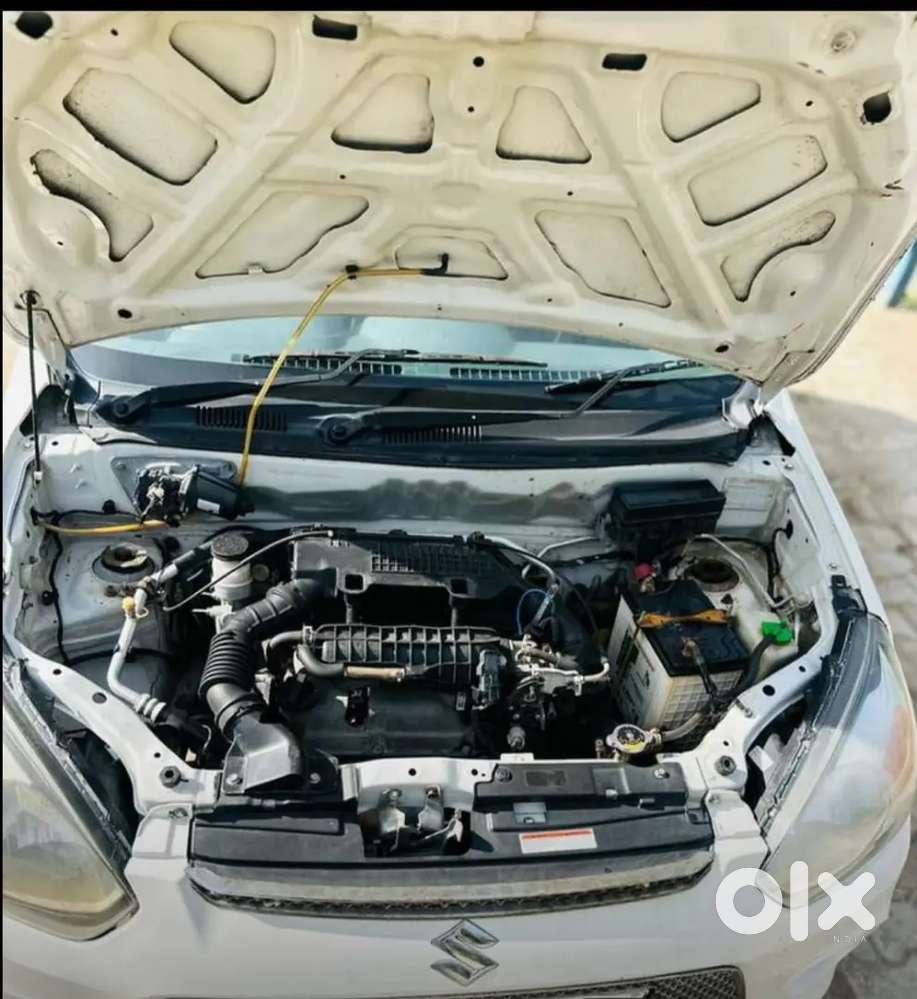 Good Conditions Gaddi