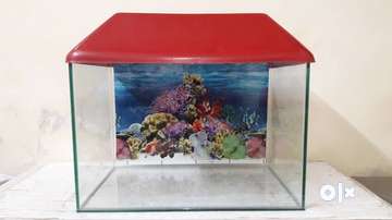 Aquarium Tops for sale