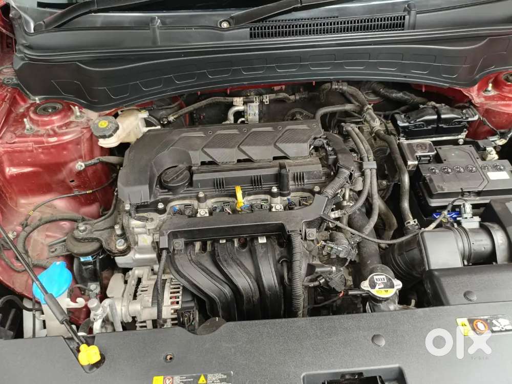Kia Seltos 2024 Petrol