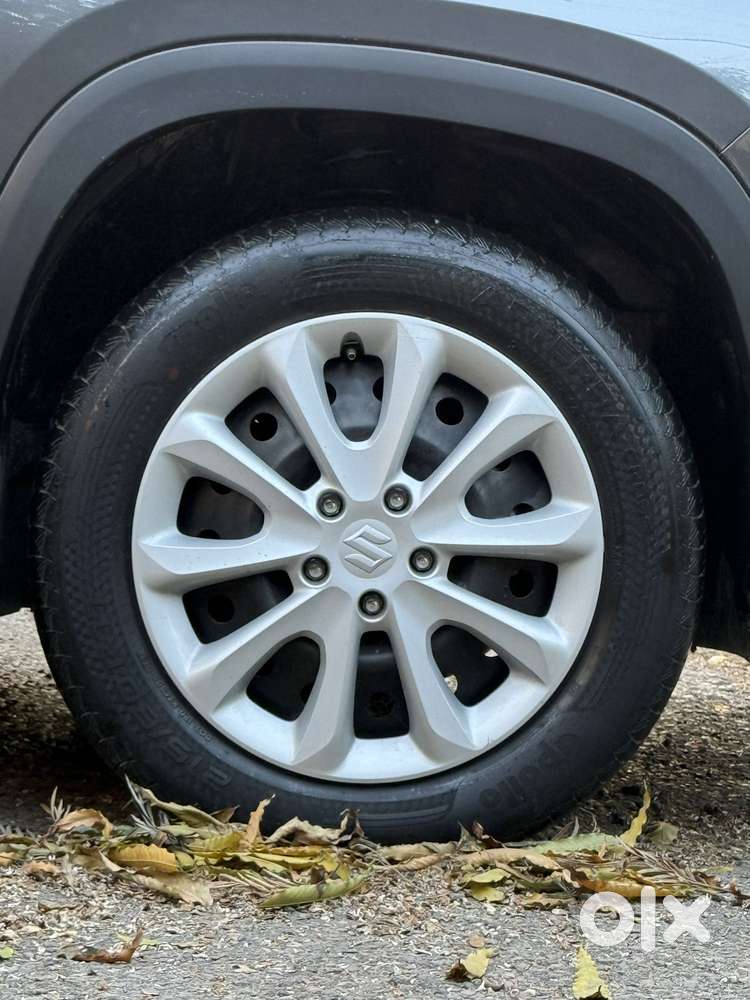 Maruti Suzuki Grand Vitara 1.5 Delta Cng, 2024, Cng & Hybrids