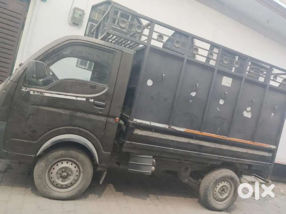 Tata Ace D