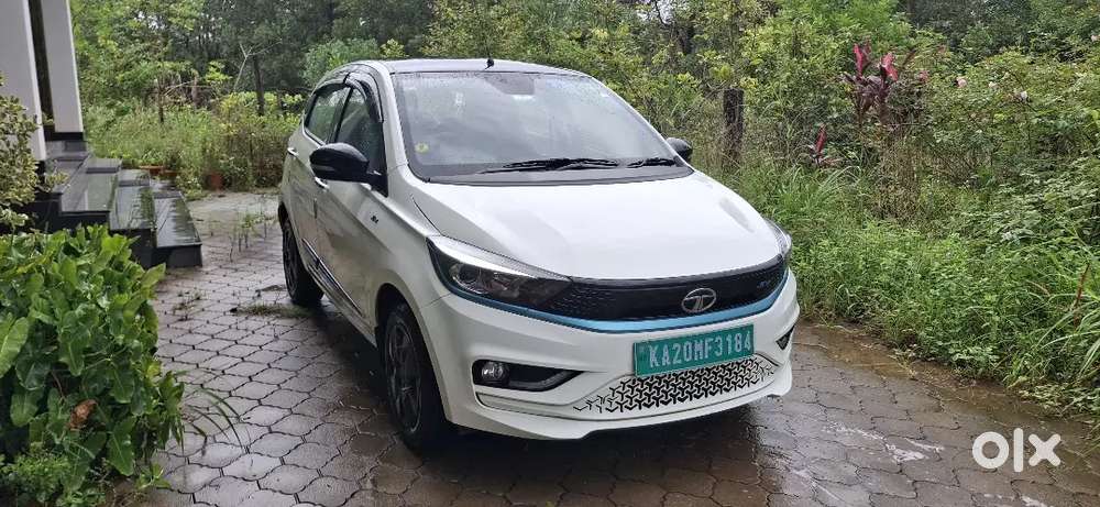 2 Years 4 Months Old