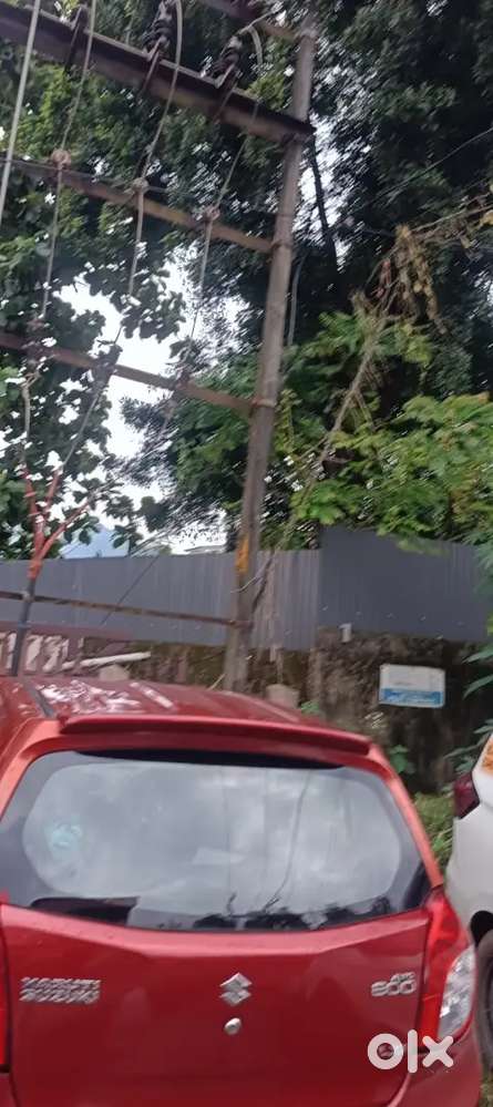 Alto 800 Cng