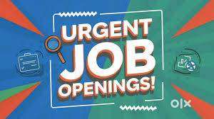 Female Personal Secretary PART TIME required at Delhi University,DELHI