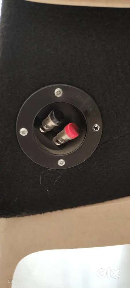 Car subwoofer