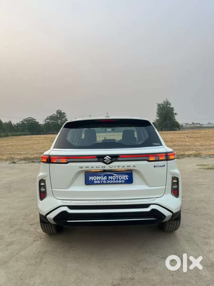 Maruti Suzuki Grand Vitara 1.5 Delta Smart Hybrid, 2024, Petrol