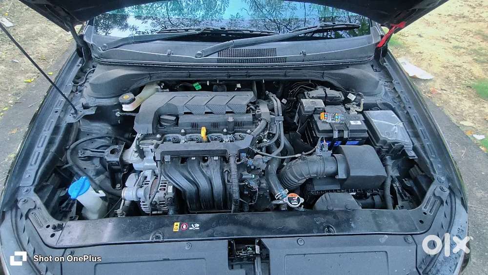 Hyundai Verna 2023 Petrol 12500 Km Driven