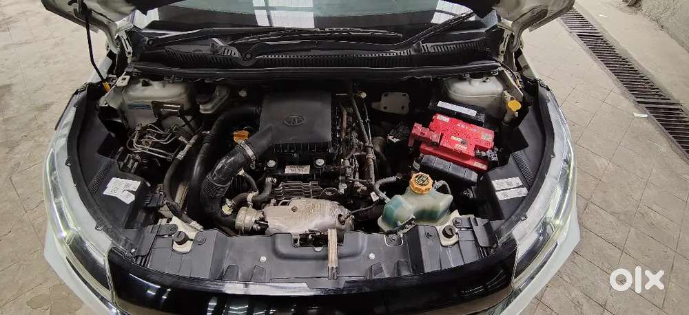 Tata Nexon Xz+ 2021  Top Model  Excellent Condition