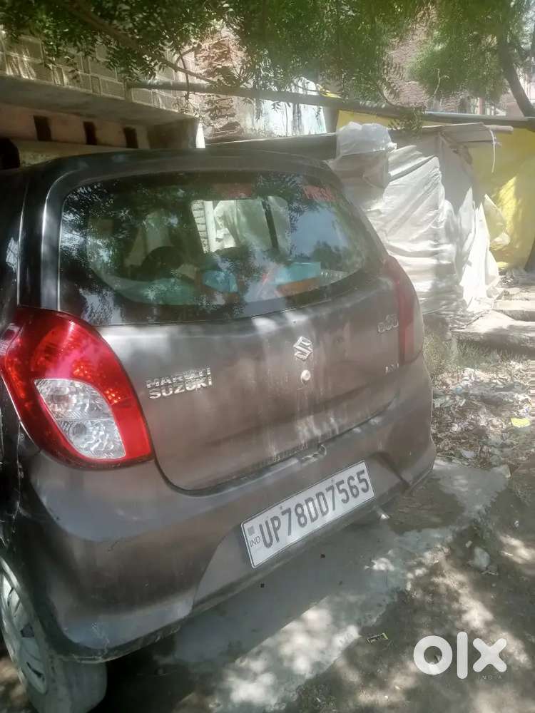 Alto800 13 Model Cng Company Fitted