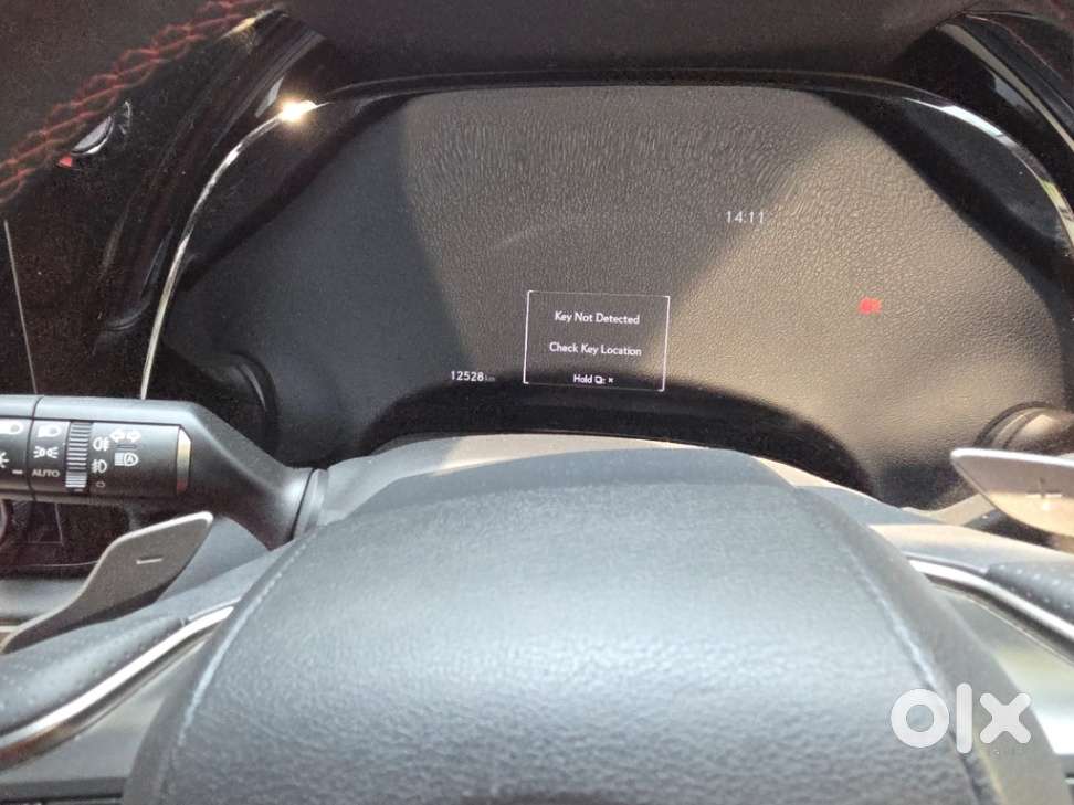 Lexus Rx 500h Panasonic, 2024, Petrol