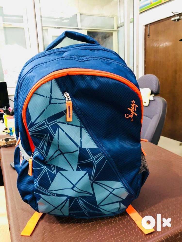 Skybags cheap for school