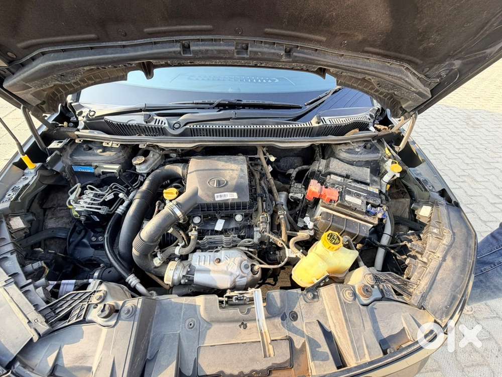 Tata Nexon 2023 Petrol Well Maintained