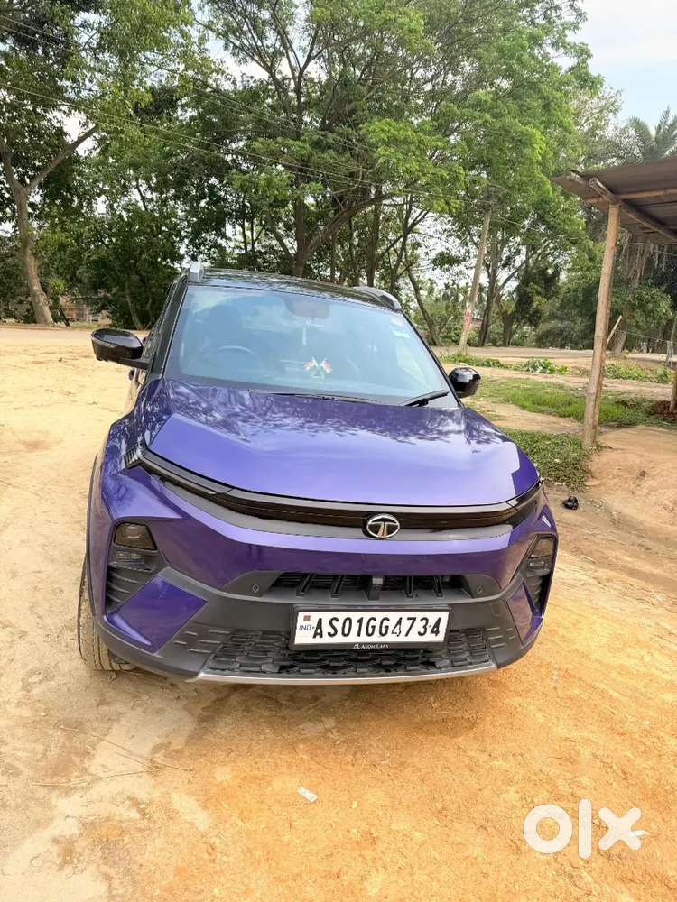Tata Nexon 2025 Petrol 25377 Km Driven