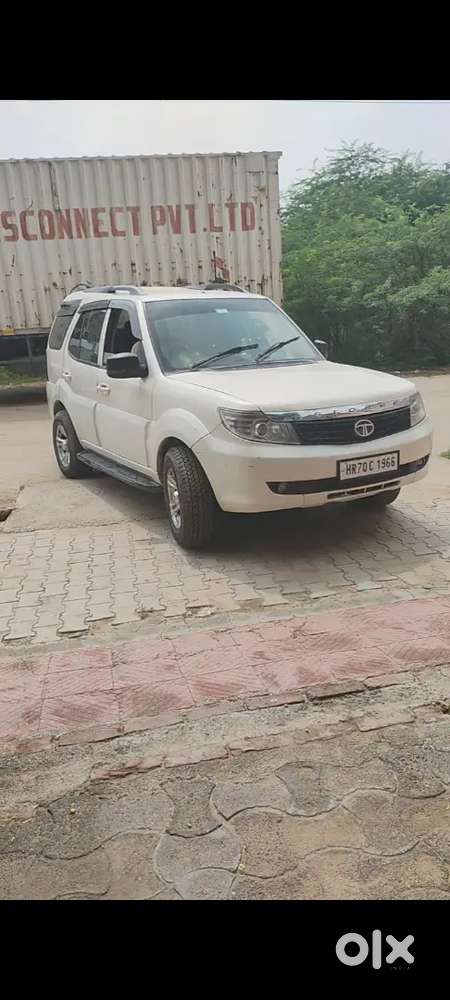 Safari Strome Lx 2013