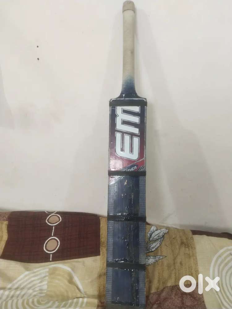 Cricket bat